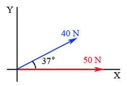 Vectores (40 Newtons y 50 Newtons)