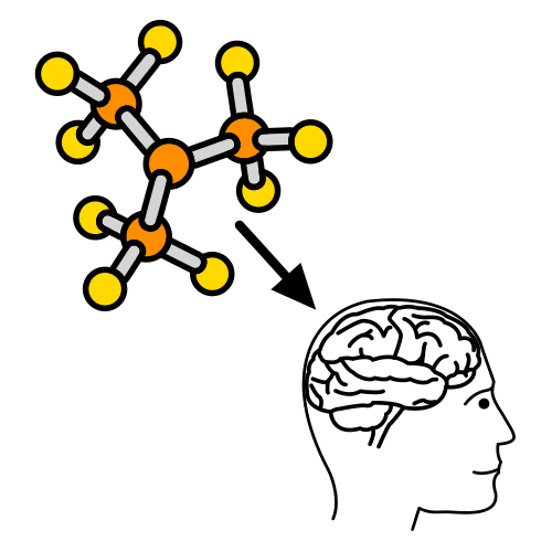 La imagen muestra un conjunto de redes conectadas entre sí y una flecha que señala la imagen de una persona, de la cual se destaca el cerebro de la misma. 