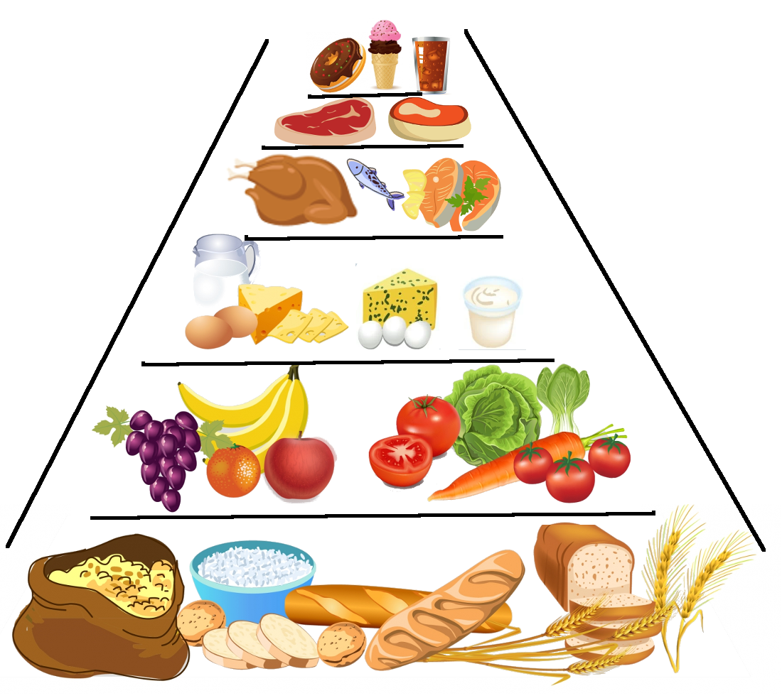 Imagen que muestra una pirámide nutricional con los alimentos que deben consumirse en mayor proporción en los niveles inferiores.
