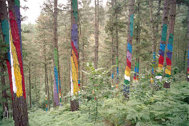 Ibarrola, Bosque de Oma