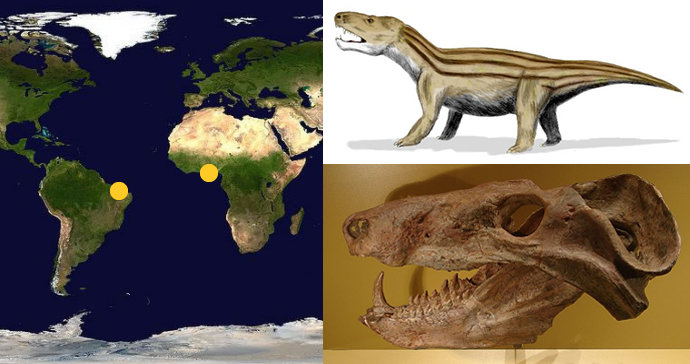 Mapa del mudo, dibujo de dinosaurio y fósil de cráneo