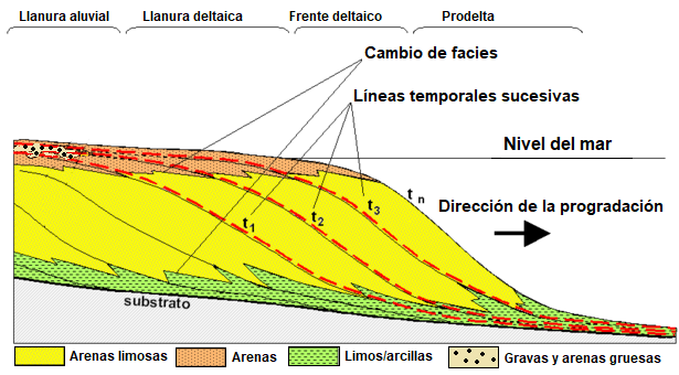 Sección longitudinal de un delta