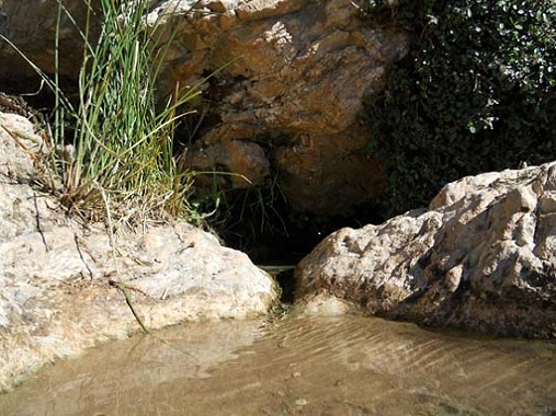 Fuente