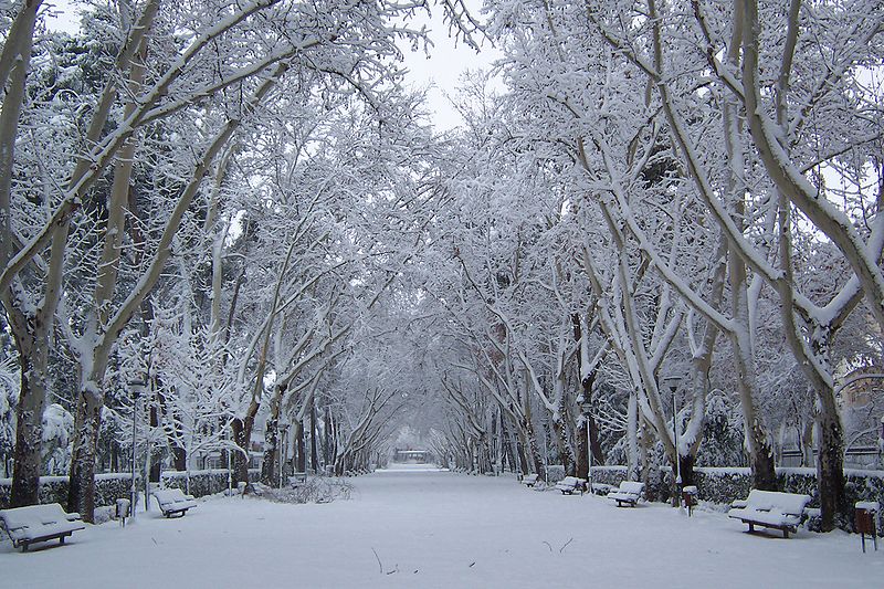 Parque Abelardo Sánchez, Albacete