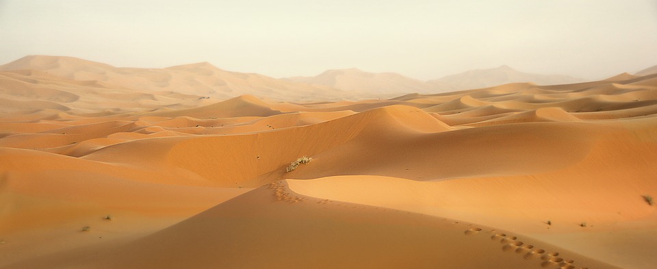 Dunas desierto 