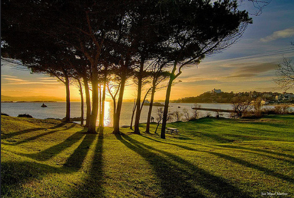 Paisaje en puesta de Sol