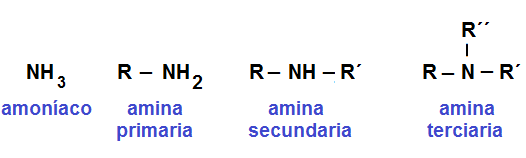 aminas