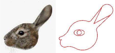 conejo