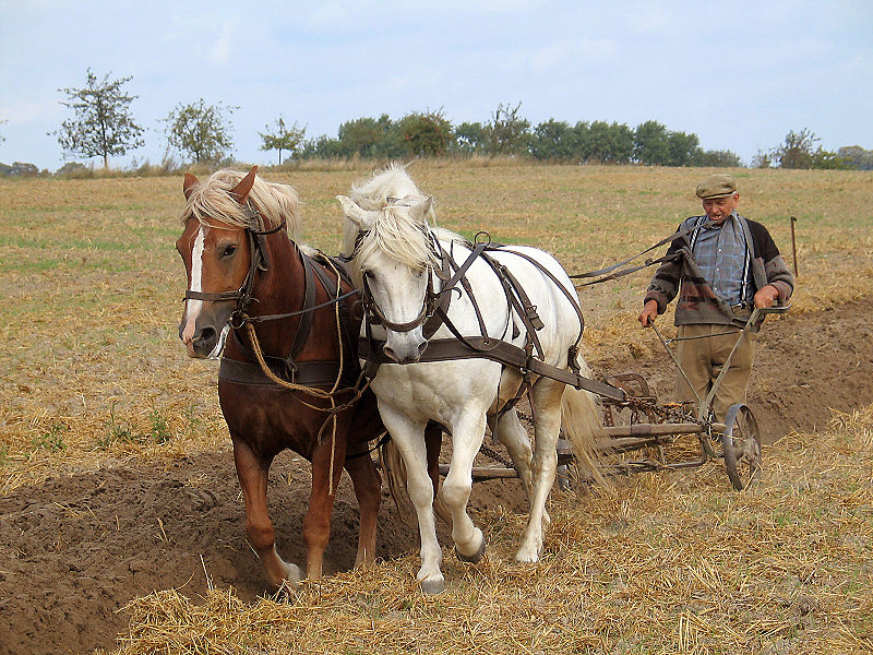 Arado tirado por caballos