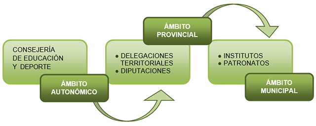 Estructura organizativa deportiva Estructura organizativa deportiva