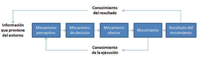 modelo de Marteniuk