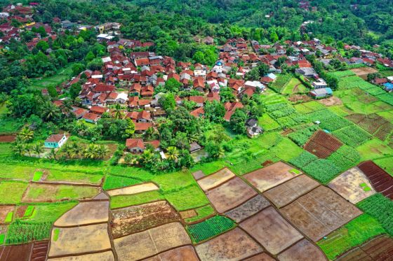 Aparece una fotografía aerea de un pueblo, se puede ver los tejados de las casas y las calles y alrededor del pueblo arboleda y huertos.