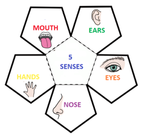 Imagen en el que aparece simbolos de los cincos sentidos en inglés y con una imagen de cada uno de los sentidos. Vista, oido, olfato, gusto y tacto.