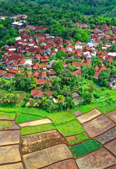 Aparece una fotografía aerea de un pueblo, se puede ver los tejados de las casas y las calles y alrededor del pueblo arboleda y huertos.