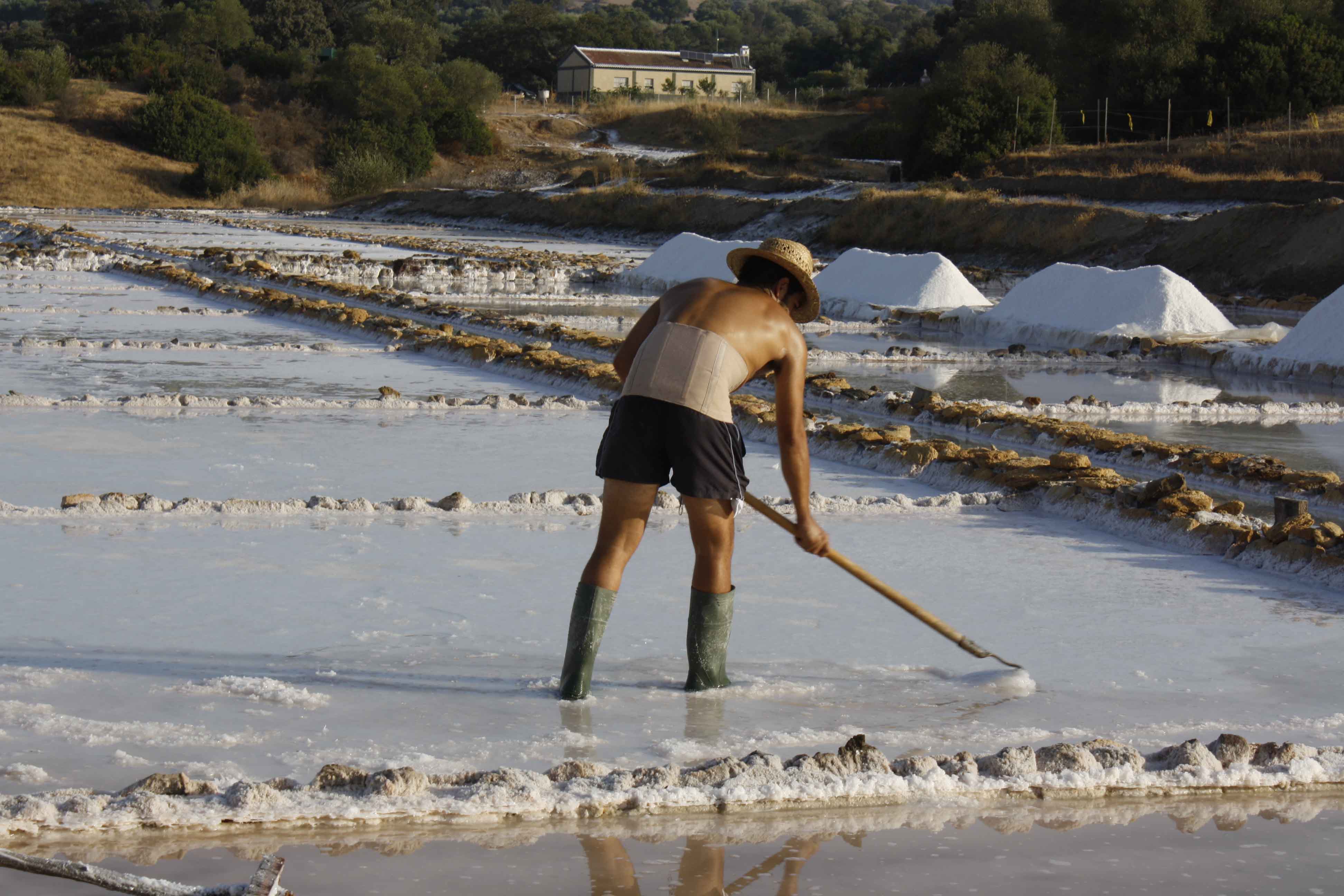 Salinas en Prado del Rey. Cádiz