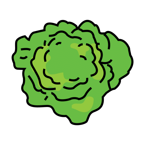 La imagen muestra una lechuga verde rizada.