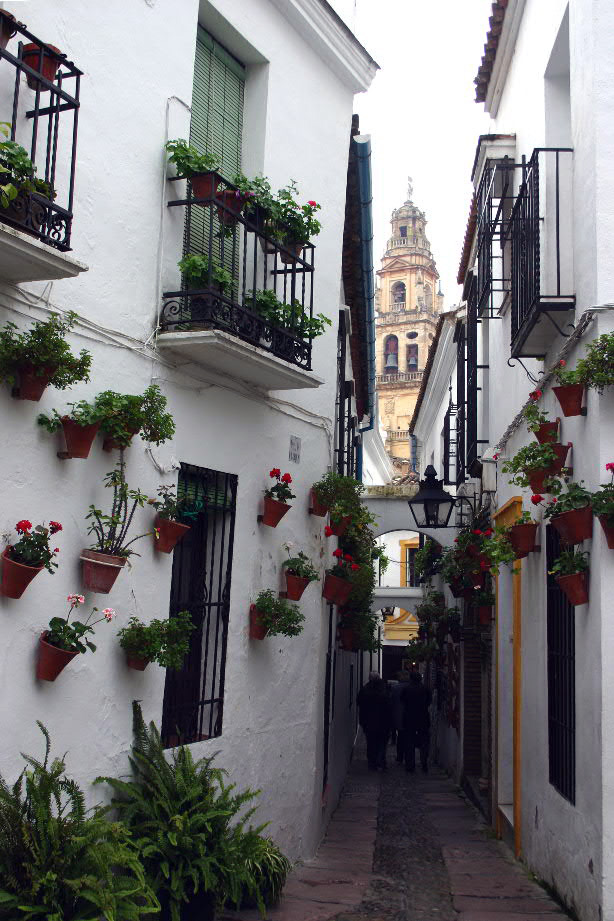 Vista de la Judería de Córdoba.
