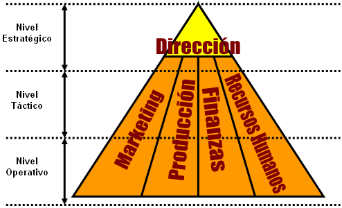 Organización empresarial