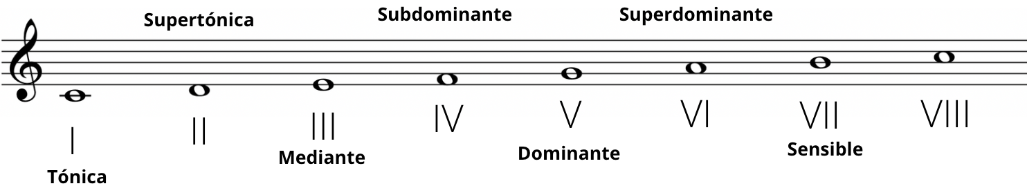 Grados de la escala y su denominación.