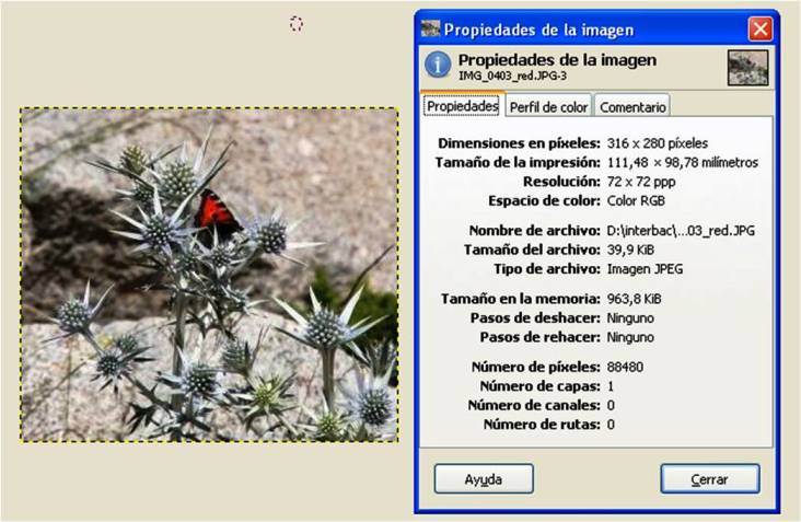 propiedades