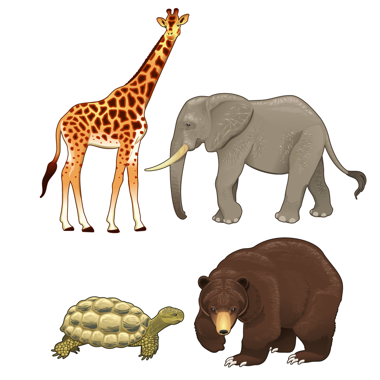 Wild animals