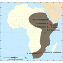 Mapa fósiles Australopithecus y Paranthropus