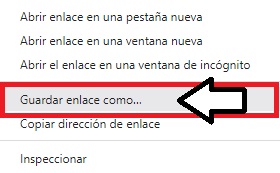 Guardar enlace como...