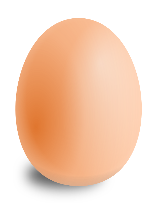 La imagen muestra un huevo de gallina en vertical