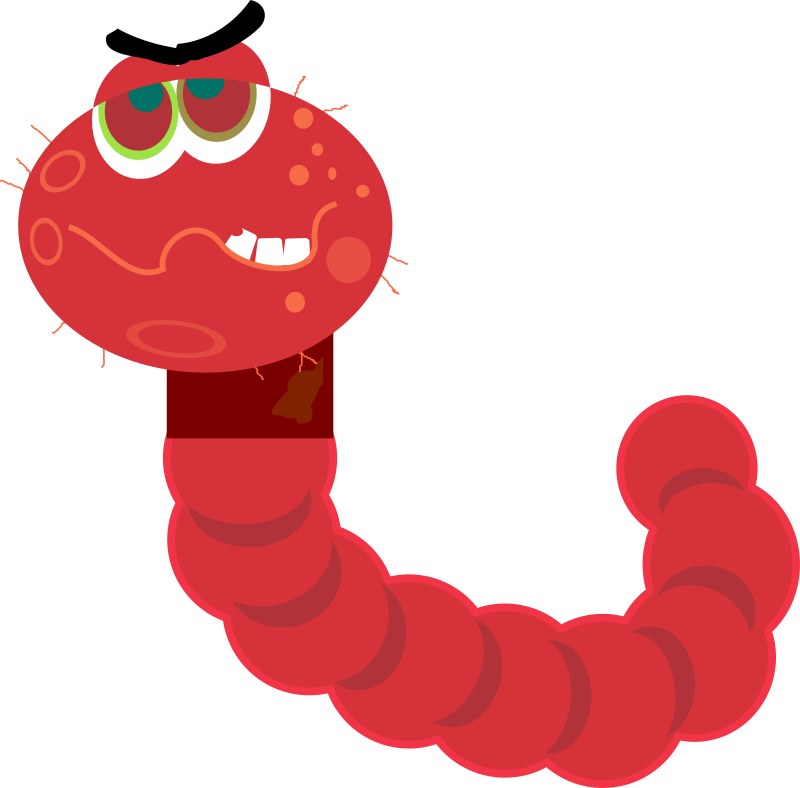 La imagen muestra un gusano de color rojo