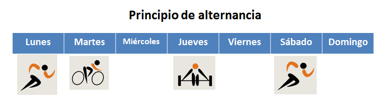principio de alternancia