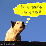 Aparece un perro pensativo con un bocadillo pensando ¿Te acuerdas de tu contraseña? 