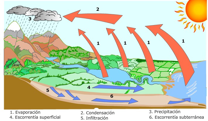 3. El ciclo del agua | CTM2-Tema : Agua en continuo movimiento. La  hidrosfera