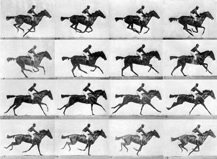 Fotogramas para el caballo