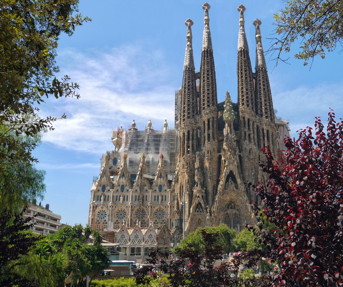 Imagen frontal de la catedral de Barcelona, con unas flores en la esquina inferior derecha.