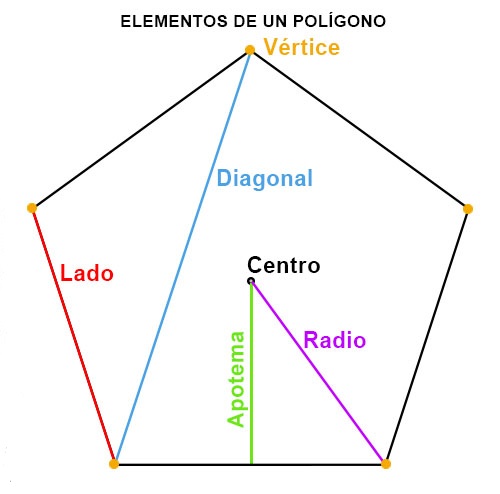 elementos de un pológono