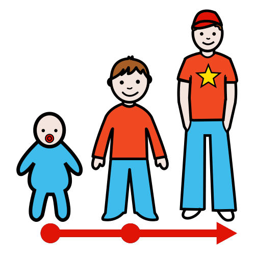 La imagen muestra el desarrollo físico y personal de un persona desde la infancia a la edad adulta.A la izquierda hay un bebé, en la derecha un niño y a la derecha un hombre, unidos por una flecha debajo de todos ellos de izquierda a derecha, indicando así el cambio y desarrollo.