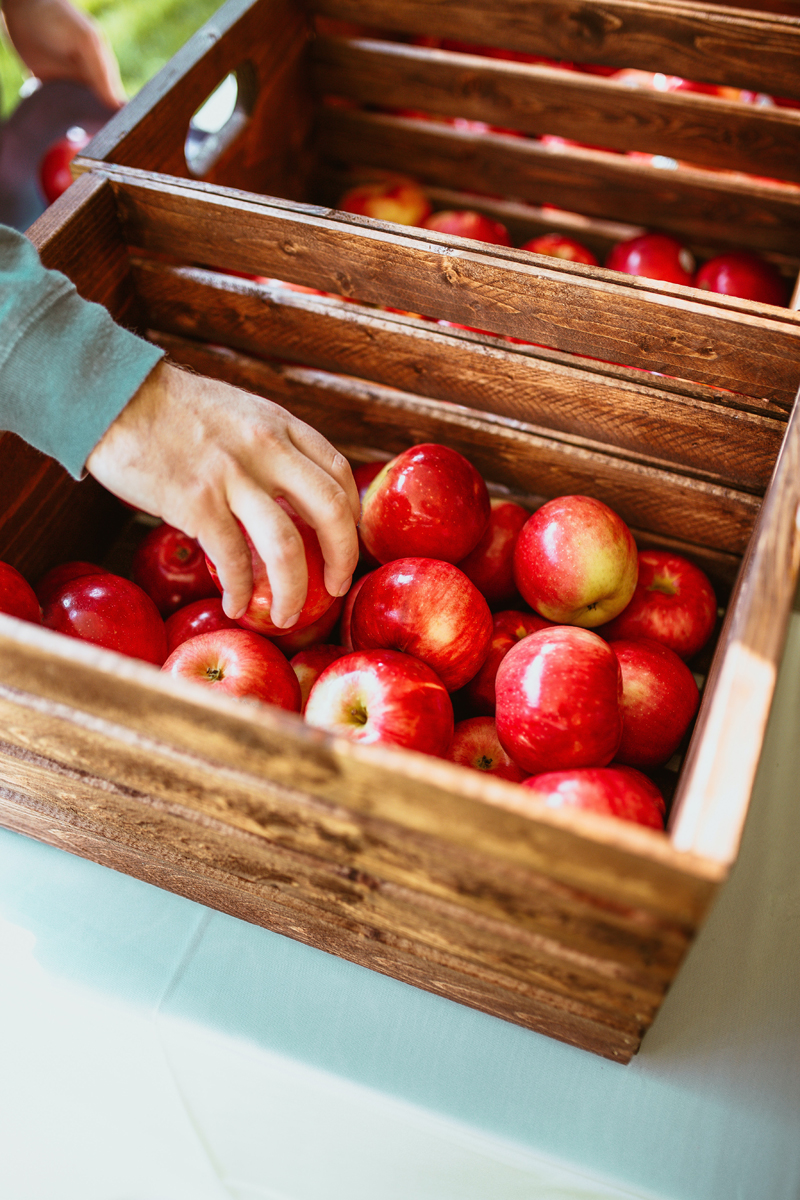 La imagen muestra una mano cogiendo una manzana de una caja de madera llena de manzanas rojas.