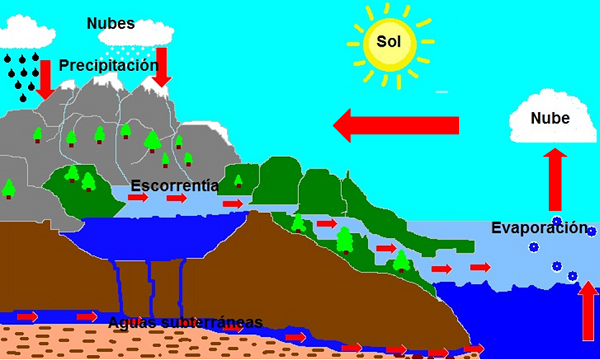 Ciclo hidrológico