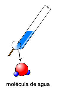 Molécula de agua