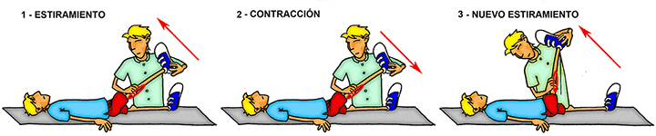 Pautas para trabajar FNP Pautas para trabajar FNP