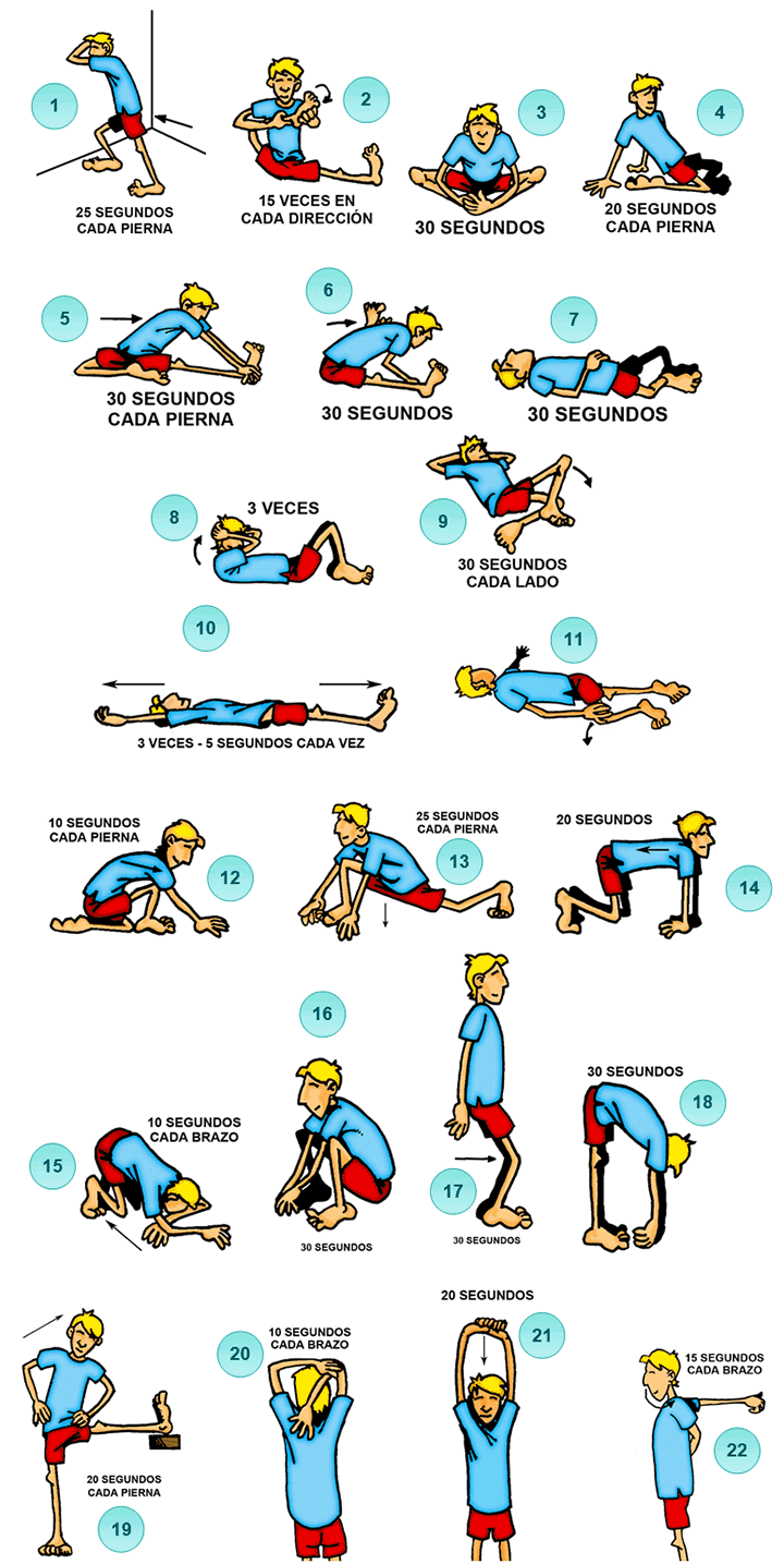 Pautas para trabajar el stretching Pautas para trabajar el stretching