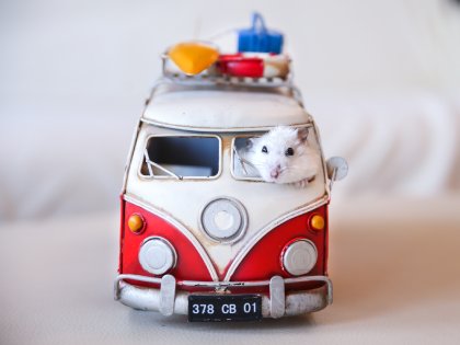 Un ratón subido en una pequeña furgoneta