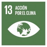 Planeta sobre fondo verde. Número 13. Texto Acción por el clima.