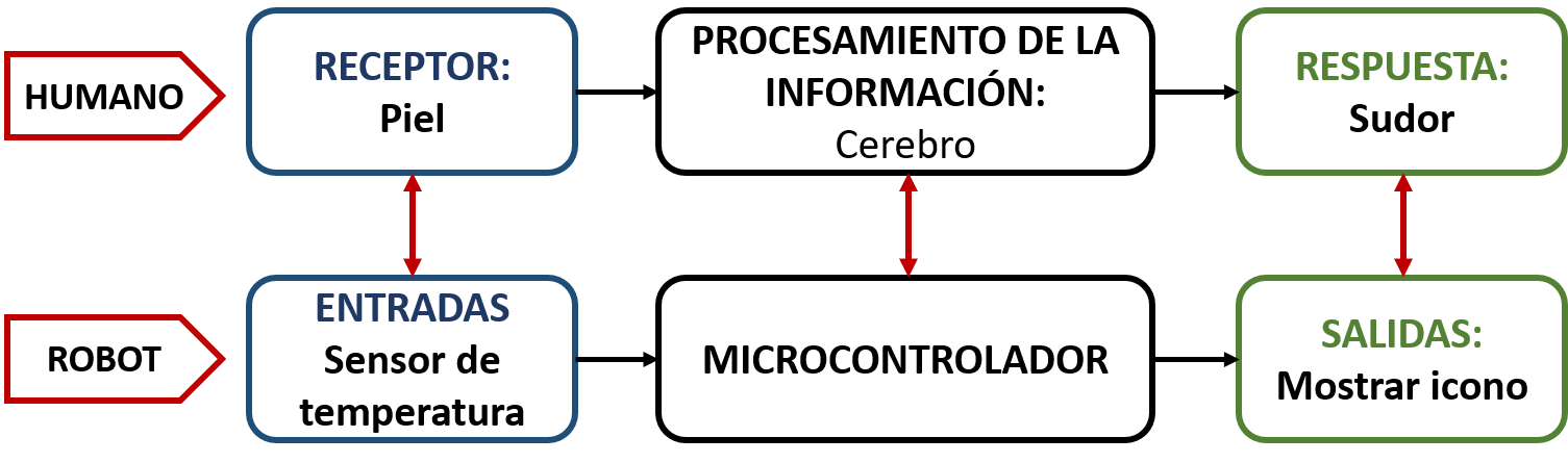 Diagrama sobre la función de relación: tres recuadros con bordes azul para receptores, negro para procesamiento de la información y verde para respuesta. 