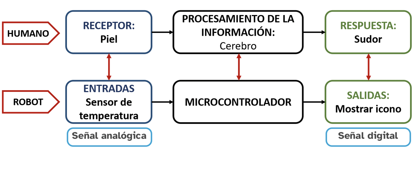 Diagrama sobre la función de relación: tres recuadros con bordes azul para receptores, negro para procesamiento de la información y verde para respuesta. 