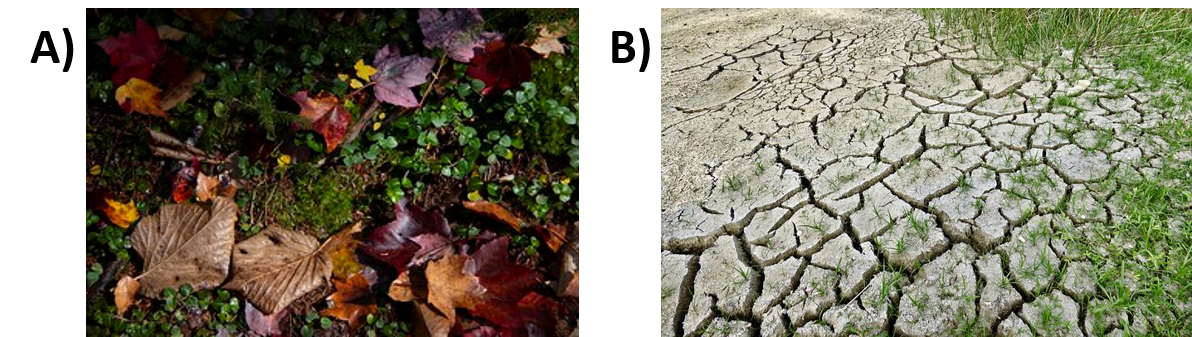 Imagen que muestra suelo húmedo/suelo seco.