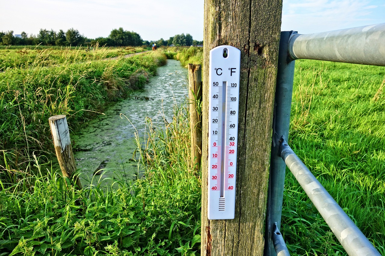 Imagen que muestra un termómetro sobre un poste