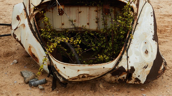 La imagen muestra un coche abandonado en la arena con plantas en el interior.