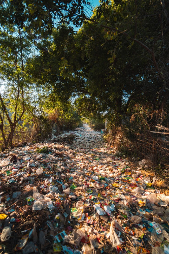  La imagen muestra un camino rodeado de árboles pero totalmente repleta de plásticos y basura tirada por el suelo.