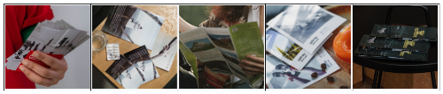  La imagen muestra a su vez cinco imágenes en las que aparecen cinco tipos distintos de folletos publicitarios.